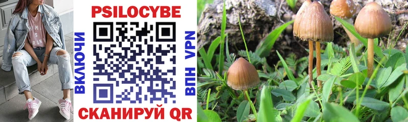где купить   KRAKEN как войти  Галлюциногенные грибы прущие грибы  Кола 